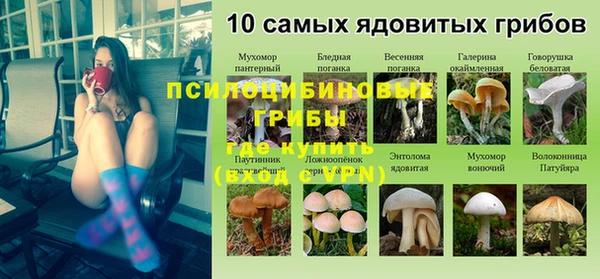гидра Ростов