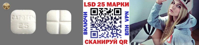 дарнет шоп  Кедровый  ЛСД экстази кислота 