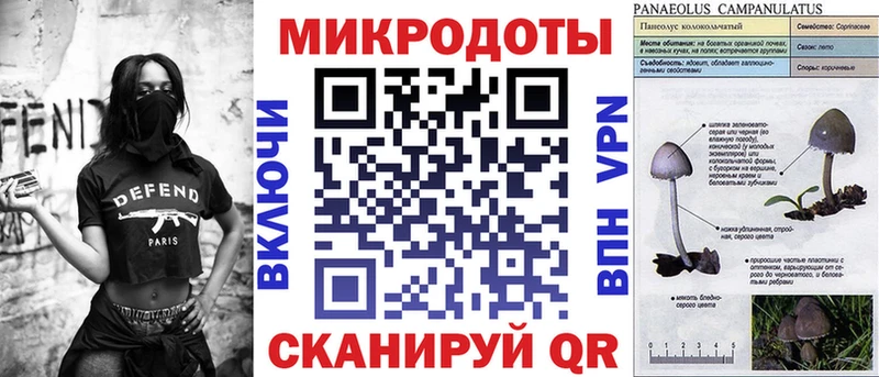 Галлюциногенные грибы мицелий  Кедровый 